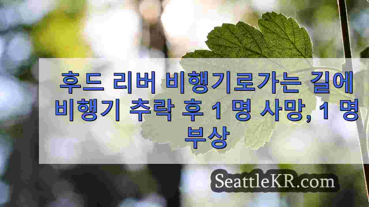 시애틀 뉴스 SeattleKR
