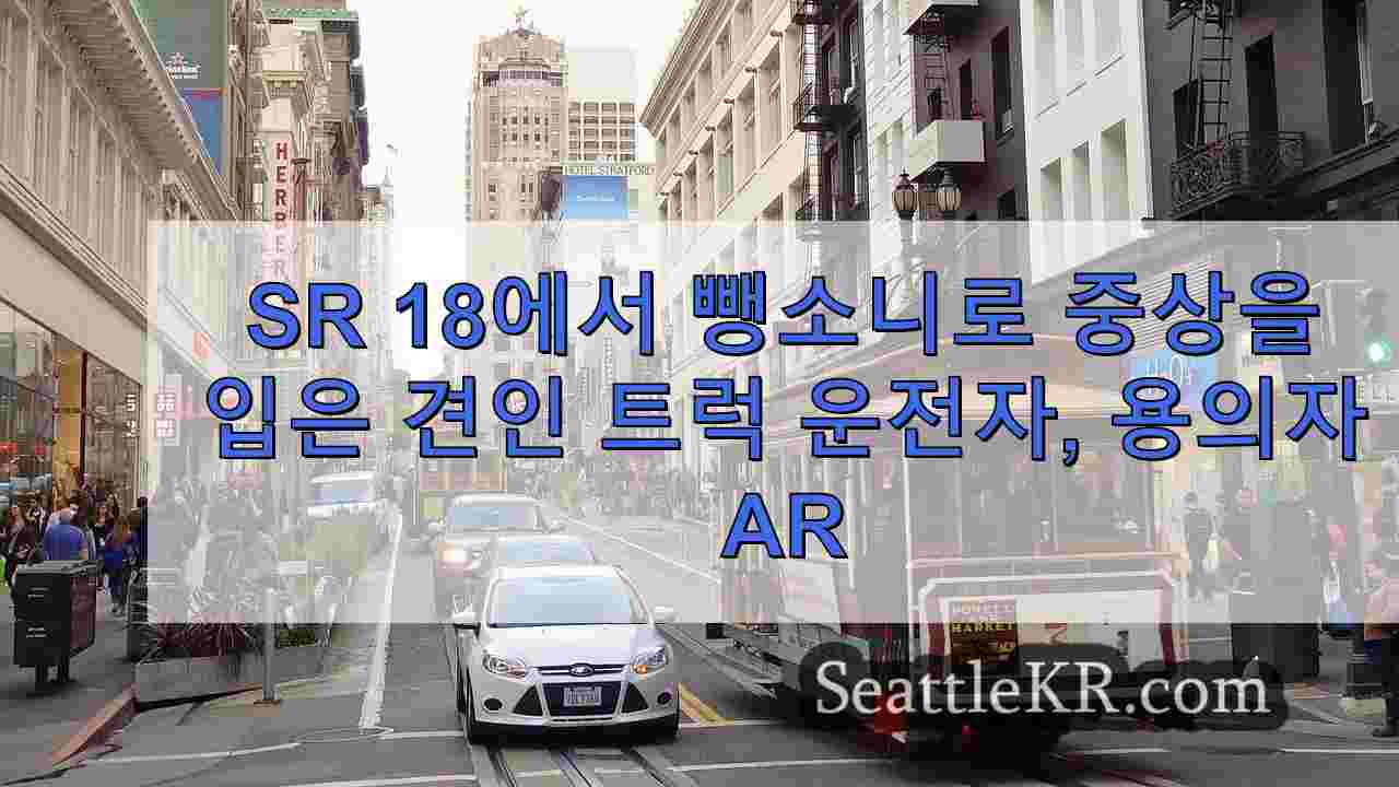 시애틀 뉴스 SeattleKR