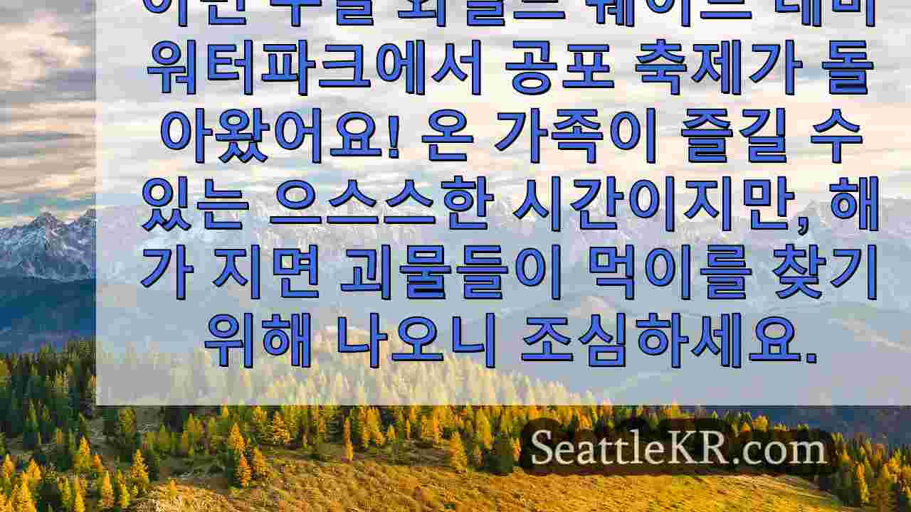 시애틀 뉴스 SeattleKR