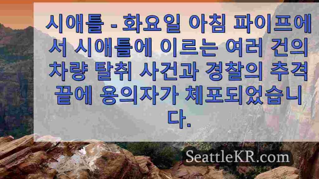 경찰 파이프에서 연쇄 차량 탈취 후 용의자 체포