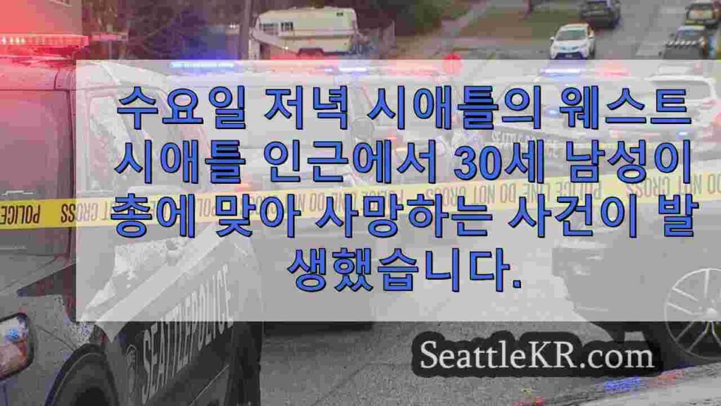 웨스트 시애틀에서 총에 맞아 사망 한 남성, 용의자는 무장 한 것으로