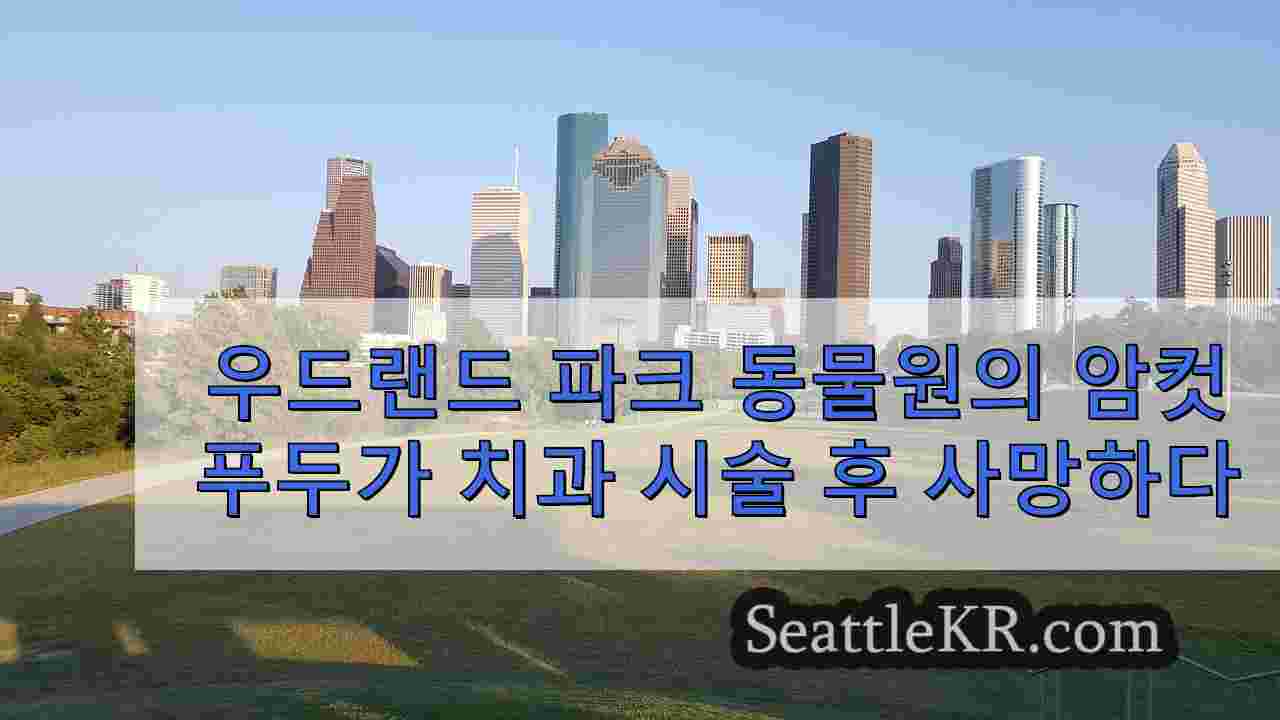 시애틀 뉴스 SeattleKR