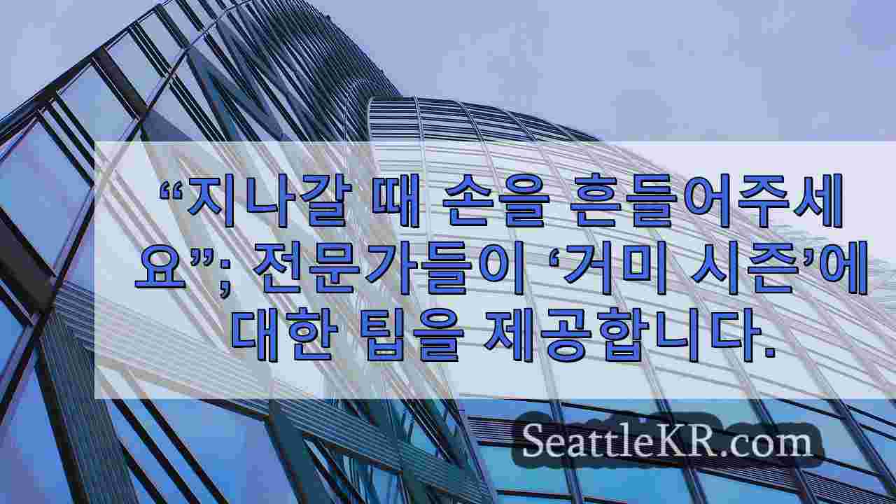 시애틀 뉴스 SeattleKR