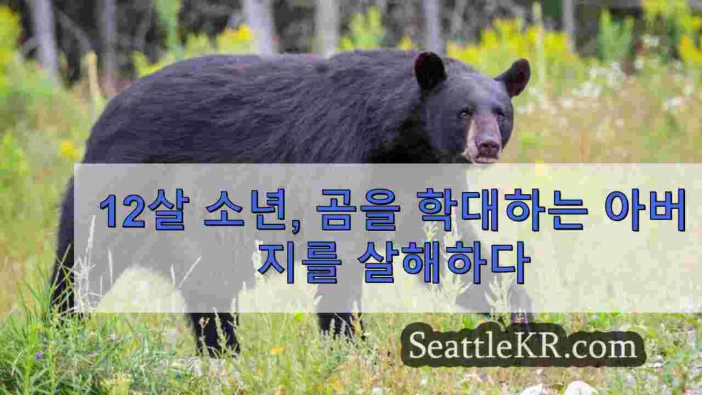 12살 소년, 곰을 학대하는 아버지를 살해하다