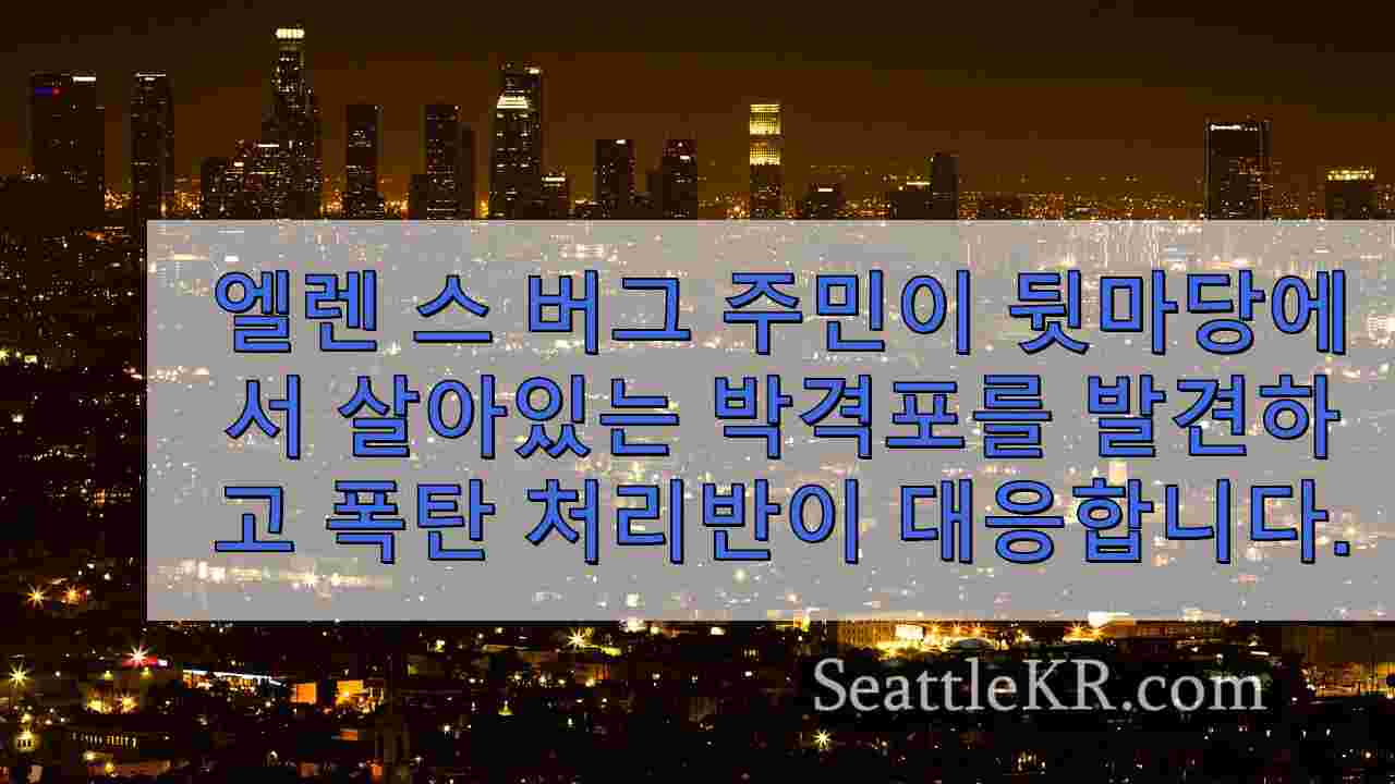 시애틀 뉴스 SeattleKR