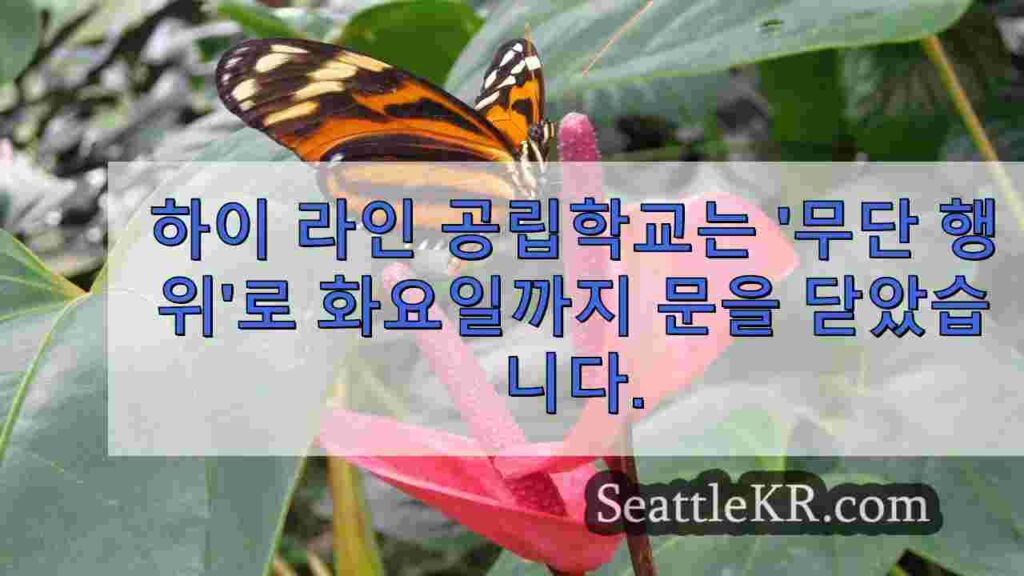 하이라인 공립학교는 기술 시스템에서 '승인되지 않은 활동'으로