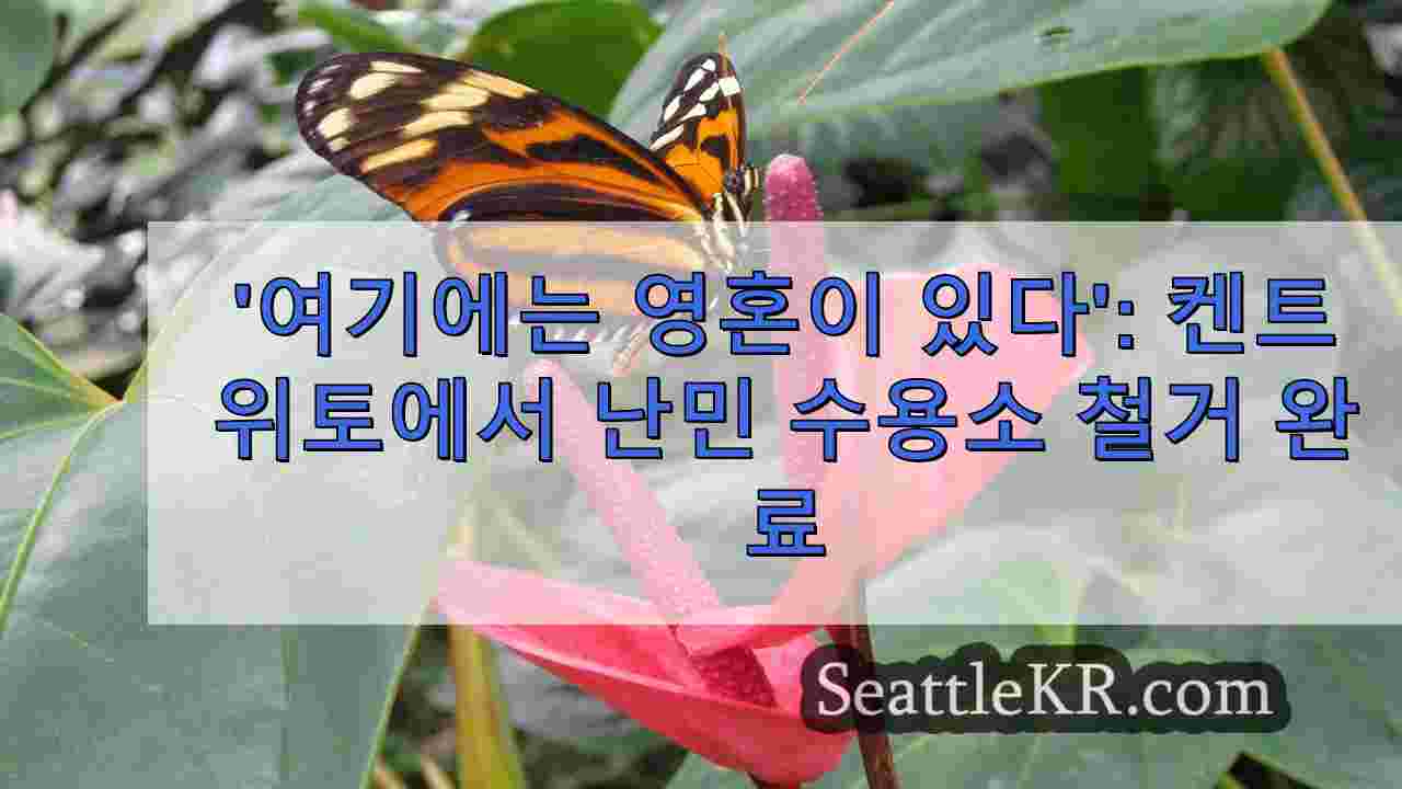 시애틀 뉴스 SeattleKR