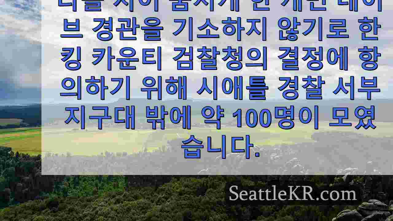 시애틀 뉴스 SeattleKR