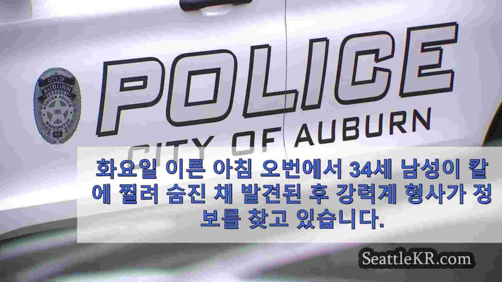 오번 경찰은 34 세 남성이 칼에 찔려 죽은 채 발견 된 후 제보를