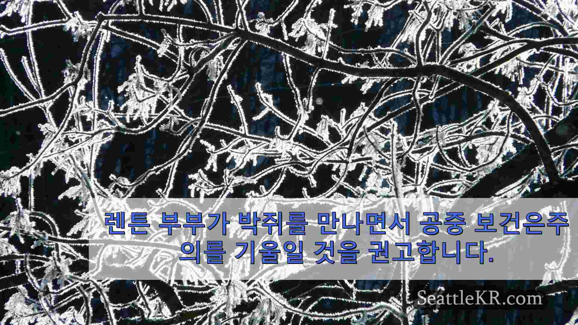시애틀 뉴스 SeattleKR