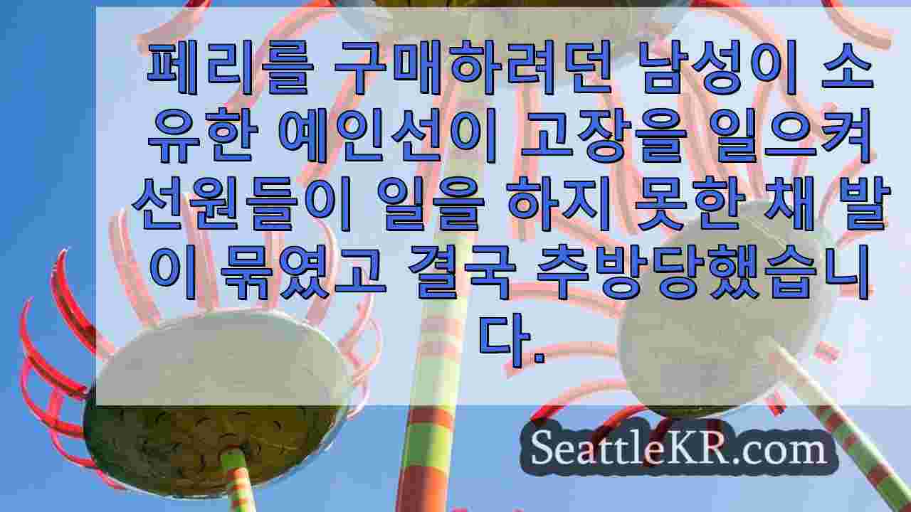 시애틀 뉴스 SeattleKR