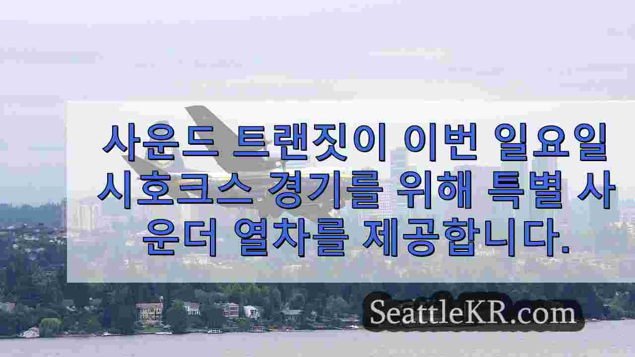 시애틀 뉴스 SeattleKR