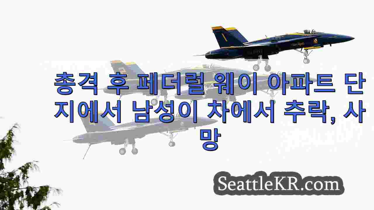 시애틀 뉴스 SeattleKR