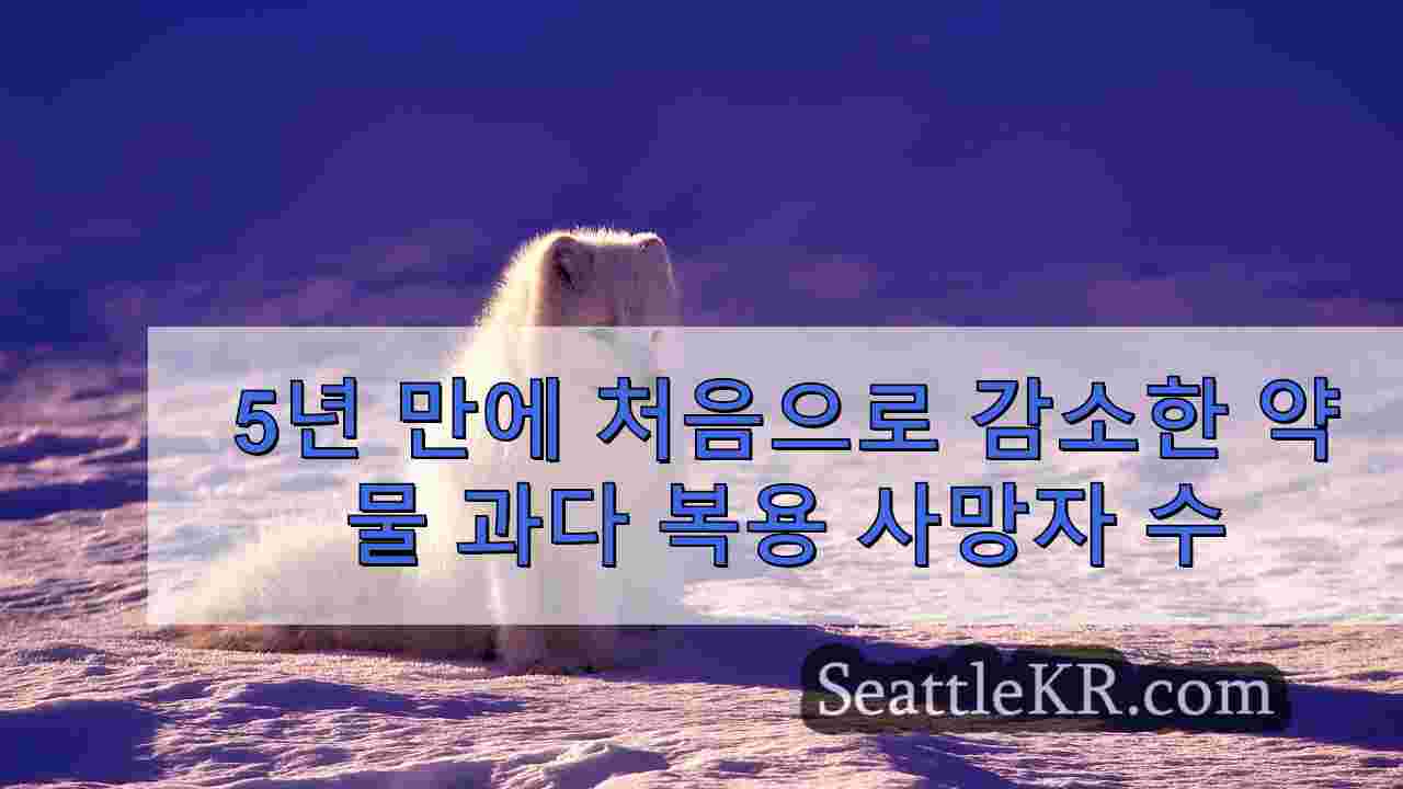 시애틀 뉴스 SeattleKR