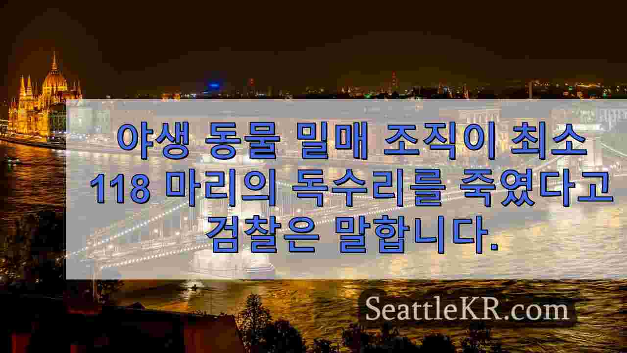 시애틀 뉴스 SeattleKR