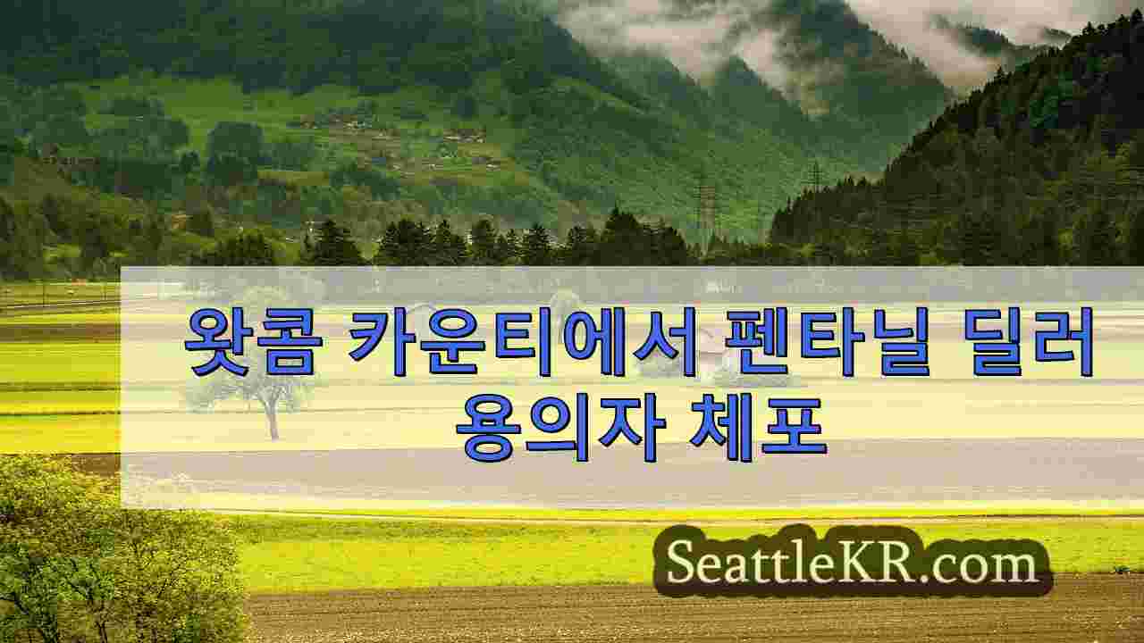 시애틀 뉴스 SeattleKR
