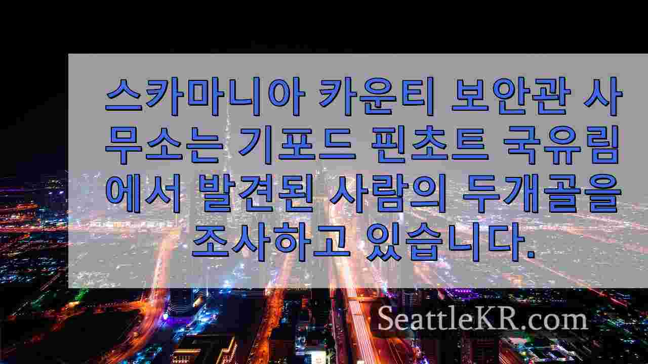 시애틀 뉴스 SeattleKR