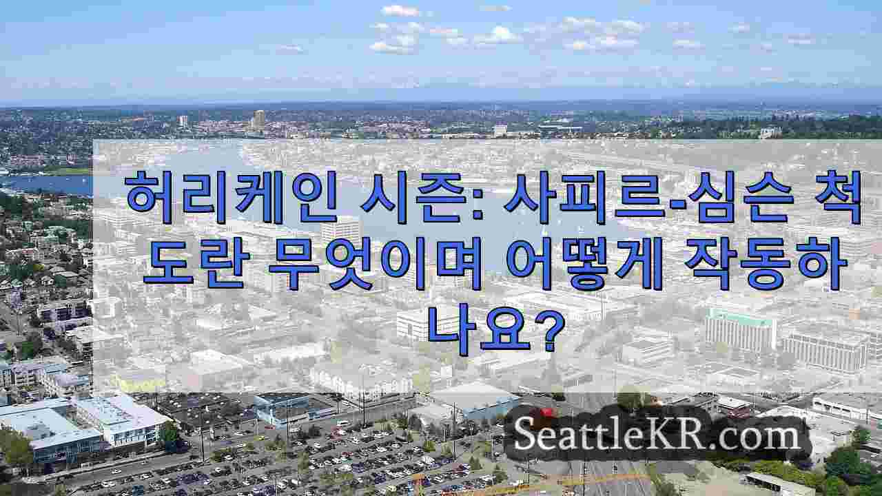 시애틀 뉴스 SeattleKR