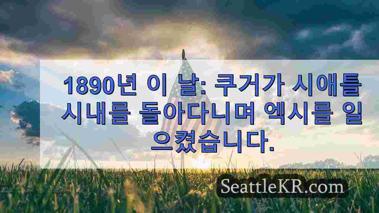시애틀 뉴스 SeattleKR