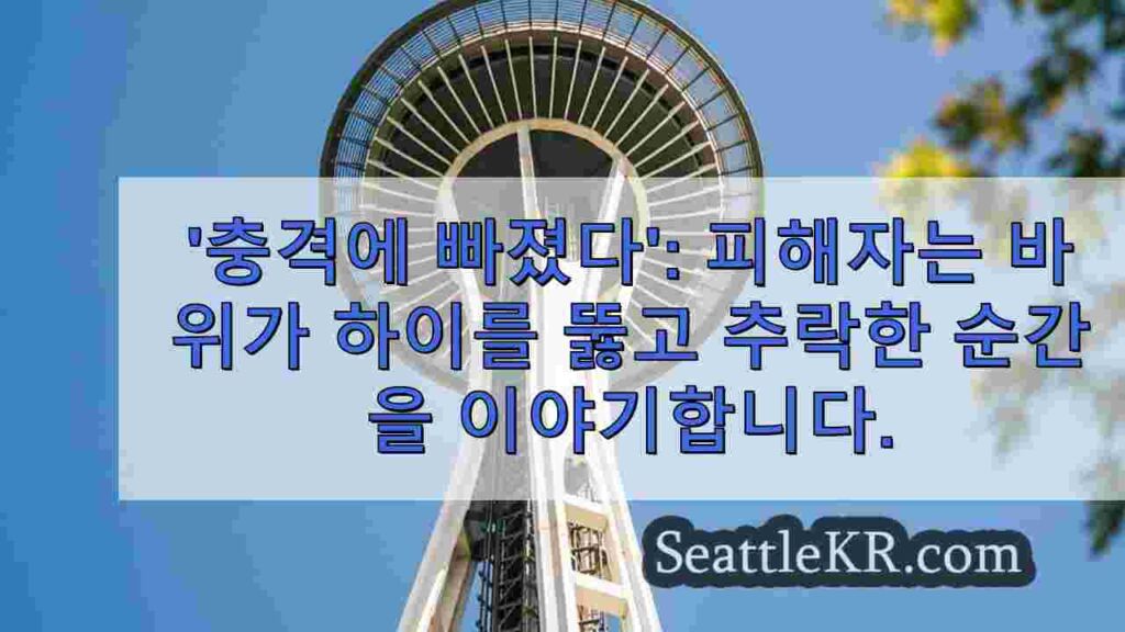 '충격에 빠졌다': 돌이 차 창문을 뚫고 들어온 순간을 회상하는