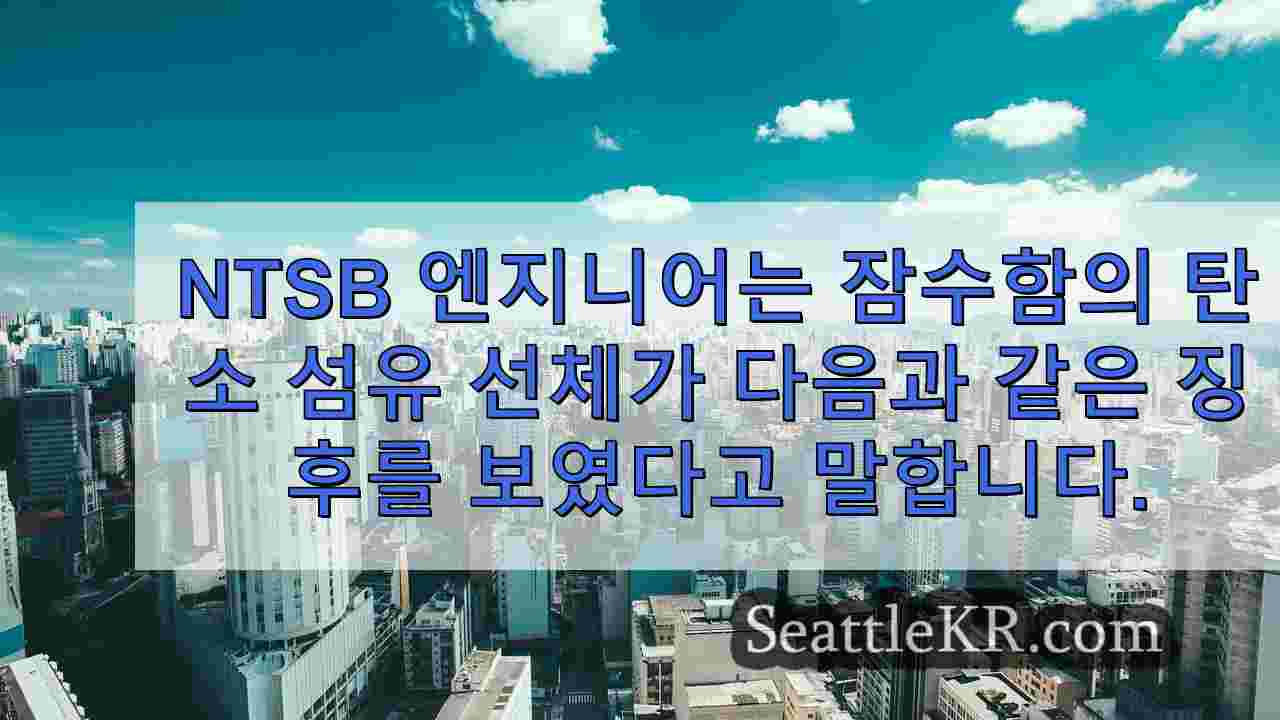시애틀 뉴스 SeattleKR