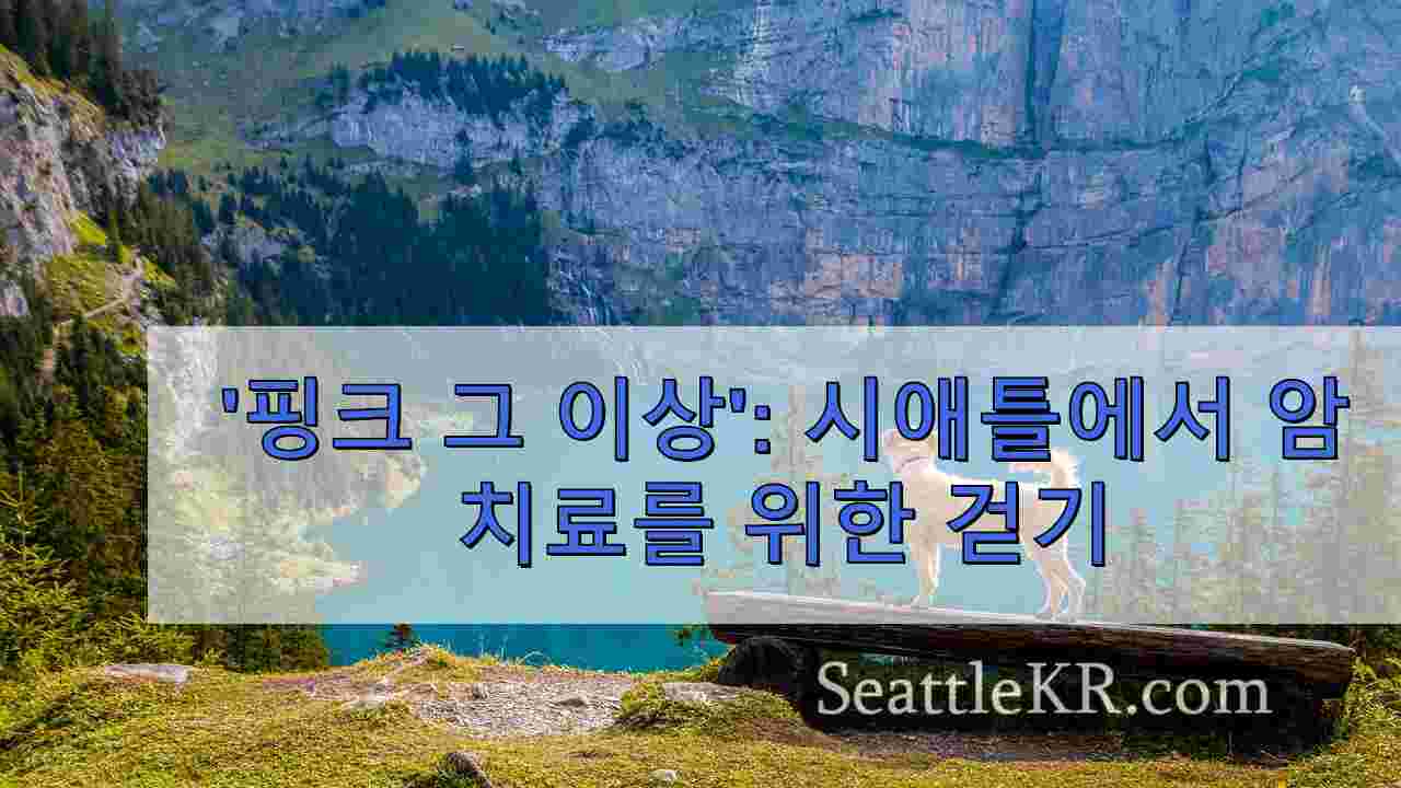시애틀 뉴스 SeattleKR