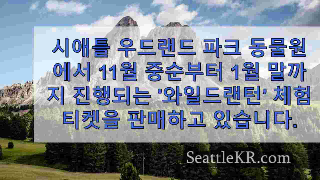 시애틀 뉴스 SeattleKR