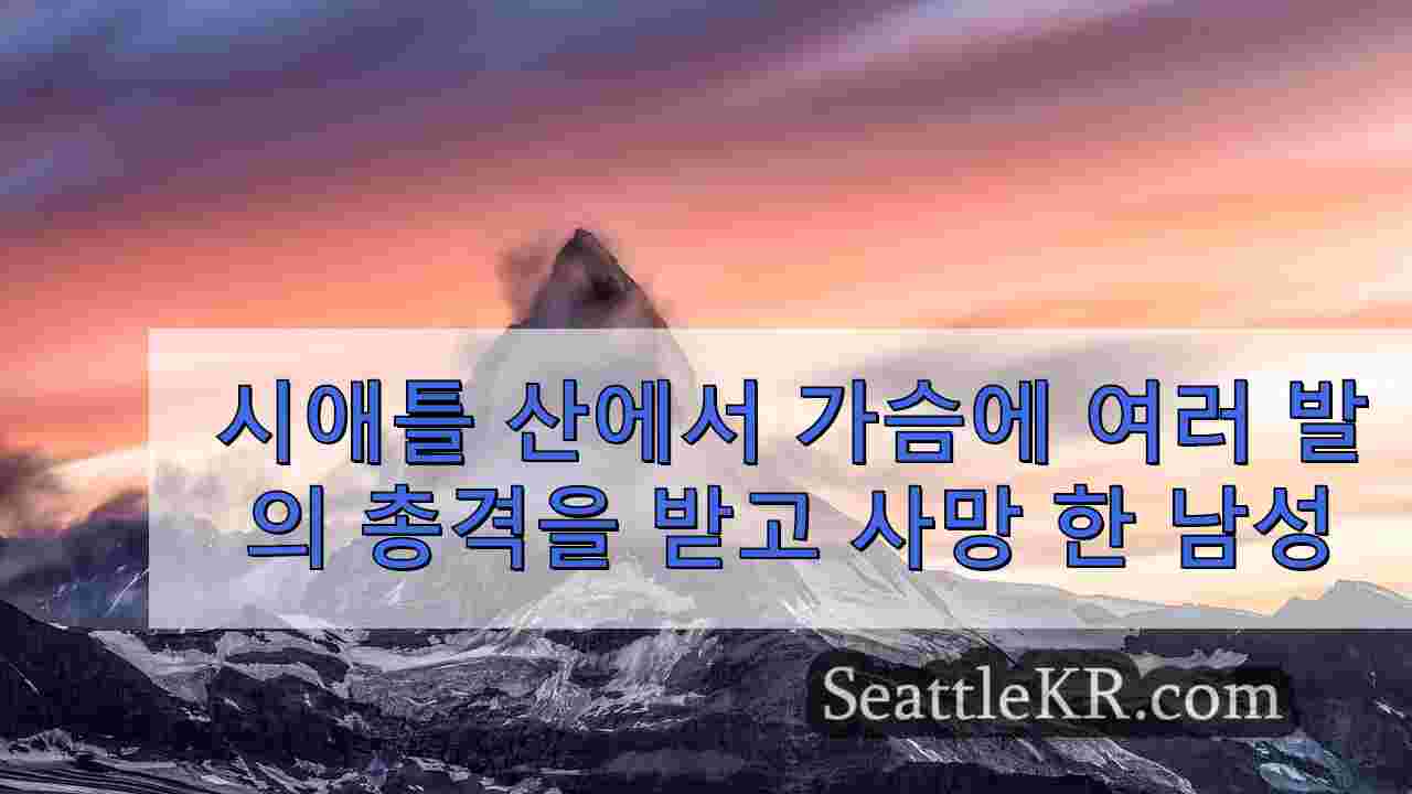 시애틀 뉴스 SeattleKR