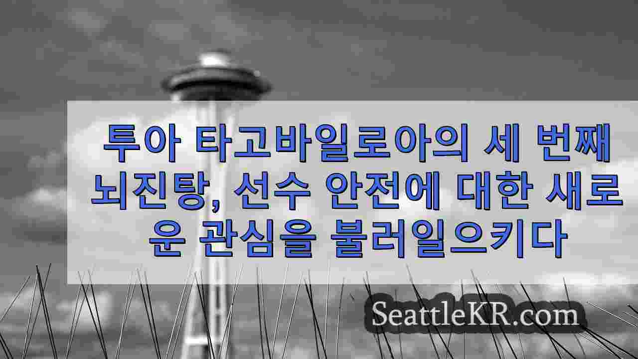 시애틀 뉴스 SeattleKR