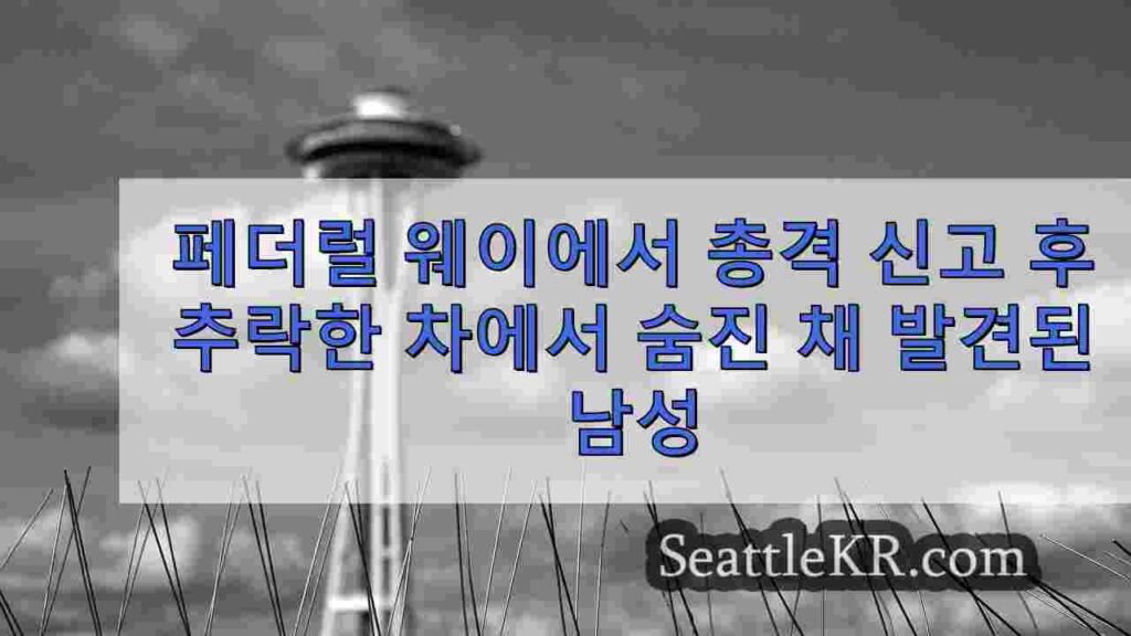페더럴 웨이에서 총격 신고 후 추락한 차에서 숨진 채 발견된 남성