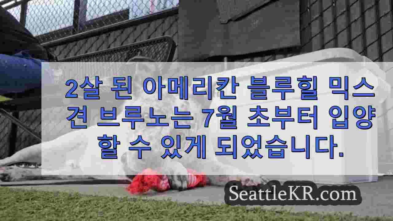 시애틀 뉴스 SeattleKR