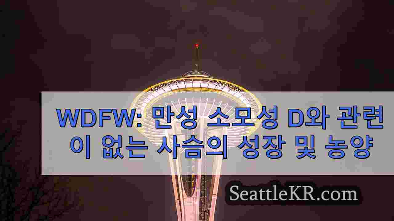 시애틀 뉴스 SeattleKR