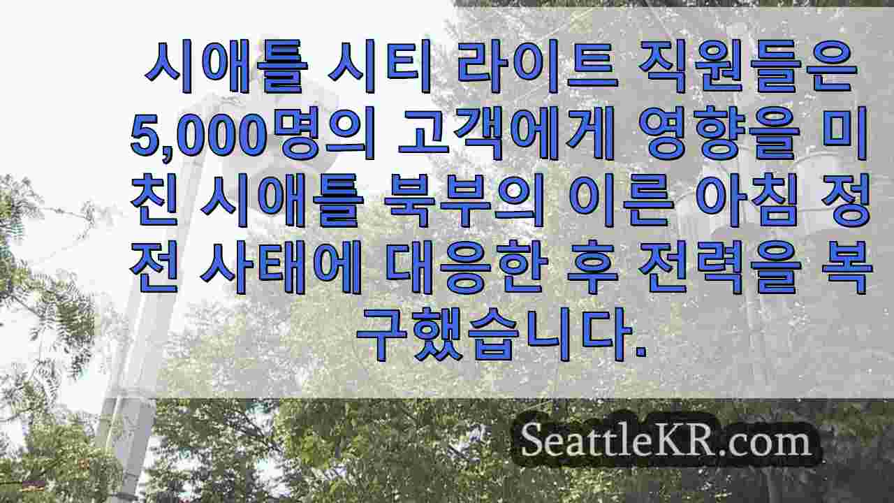 시애틀 시티 라이트, 전력선 풍선으로 인해 아침 정전 발생 후 전력 복구