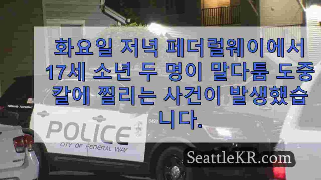 페더럴 웨이 말다툼에서 2 명의 십대 칼에 찔려 용의자 구금