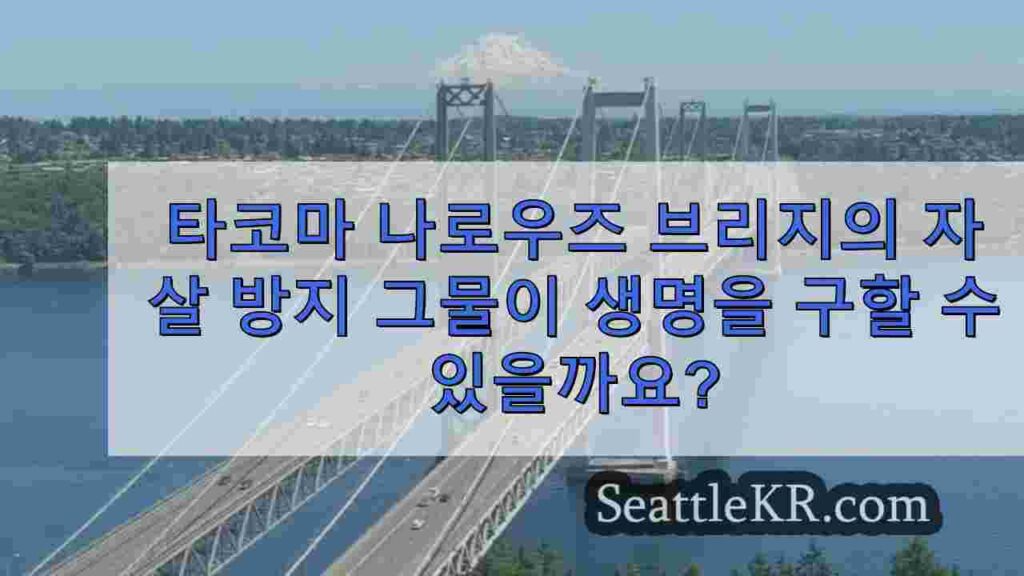 타코마 나로우즈 브리지의 자살 방지 그물이 생명을 구할 수 있을까요?
