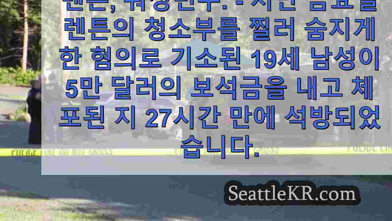 렌튼 칼부림 사건으로 사망한 남성, 체포 27시간 만에 용의자 석방