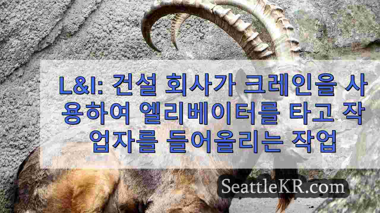 시애틀 뉴스 SeattleKR
