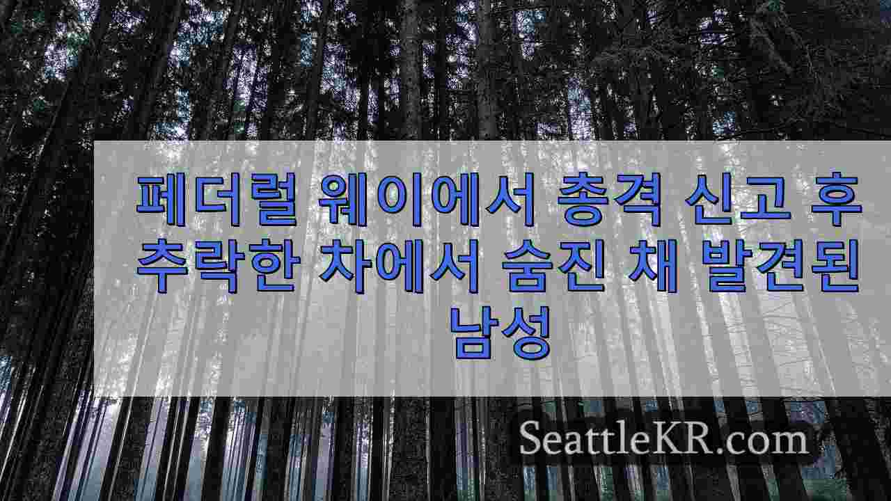 시애틀 뉴스 SeattleKR