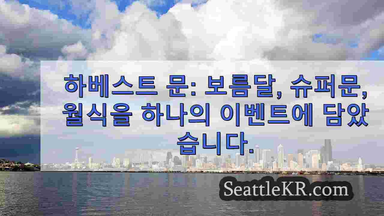 시애틀 뉴스 SeattleKR