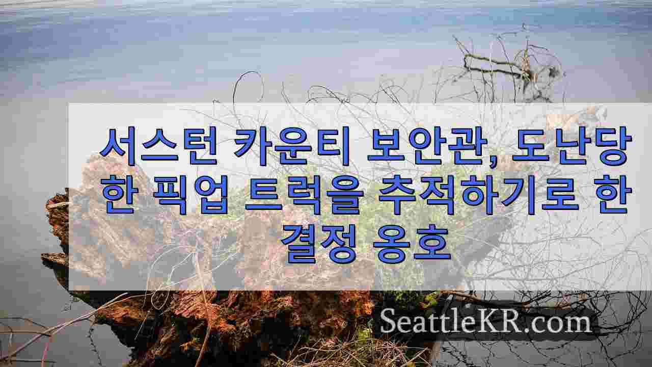 서스턴 카운티 보안관, 도난당한 픽업 트럭을 추적하기로 한 결정 옹호