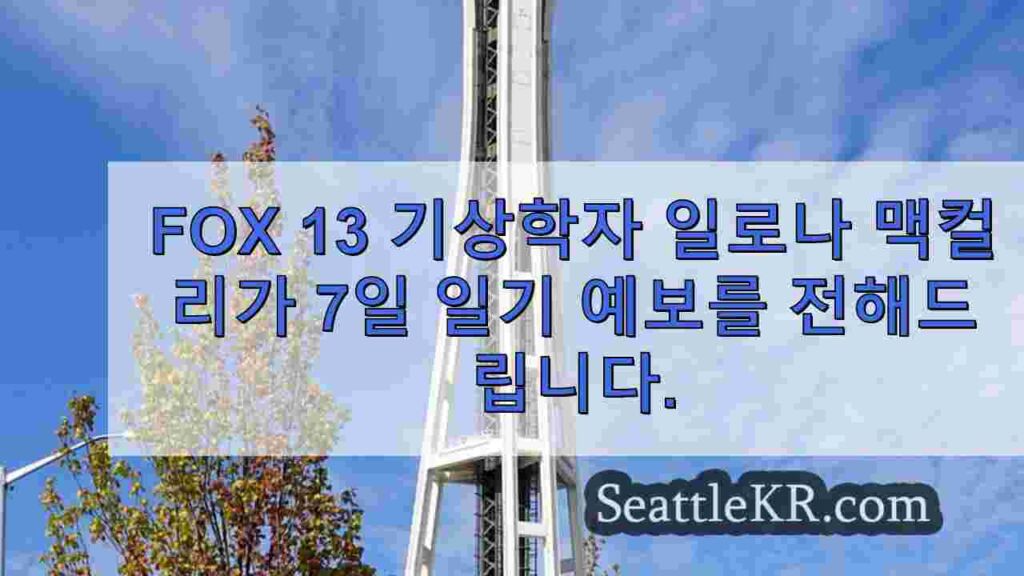 시애틀 날씨: 구름이 조금 끼는 선선한 주말을 앞두고