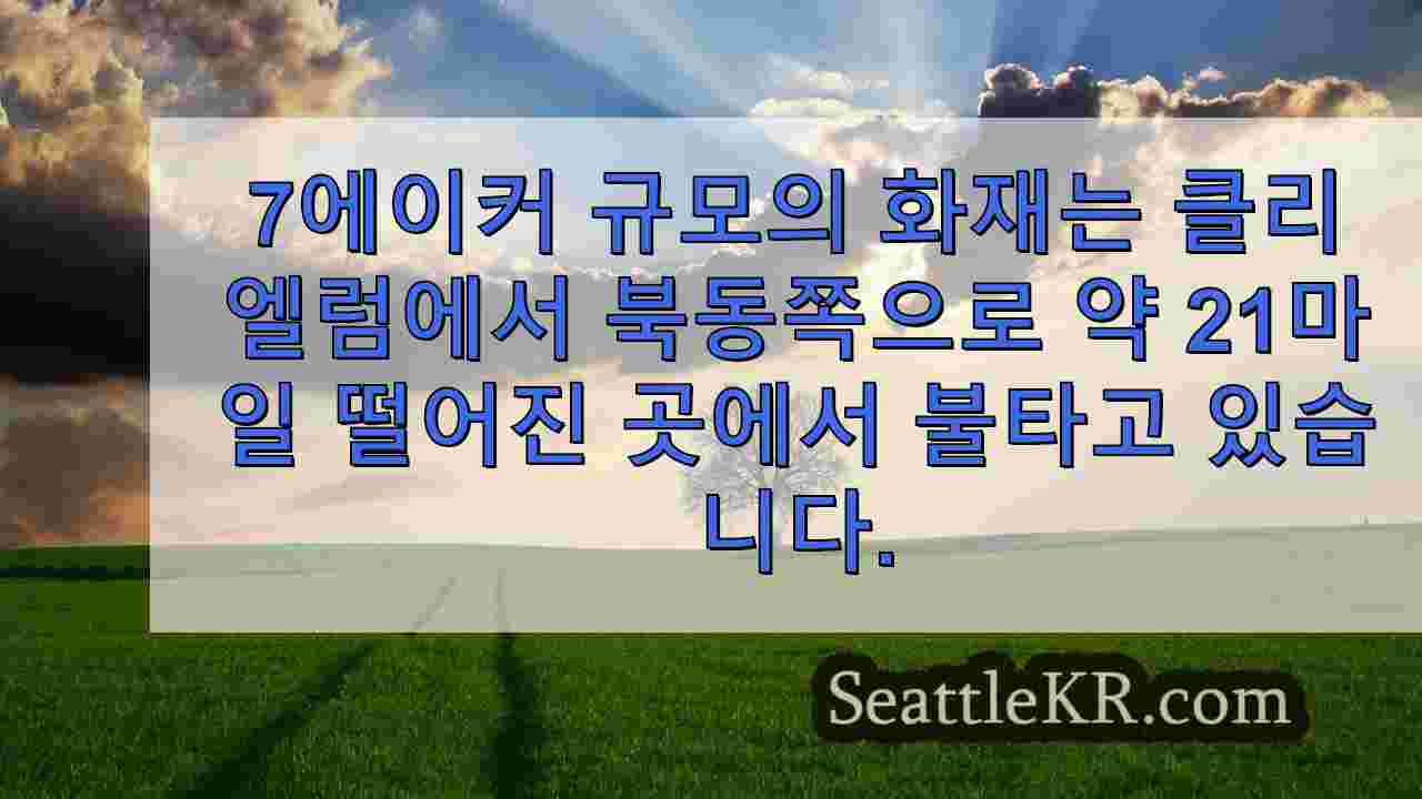 시애틀 뉴스 SeattleKR