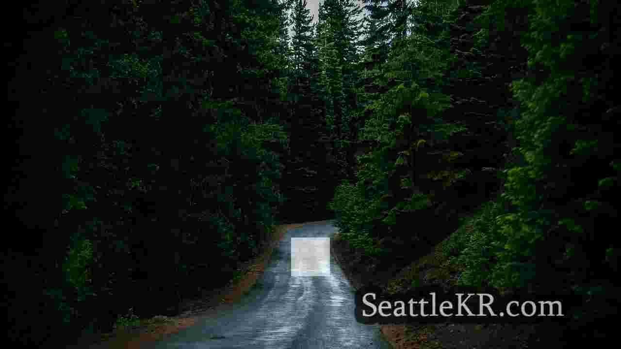 시애틀 뉴스 SeattleKR