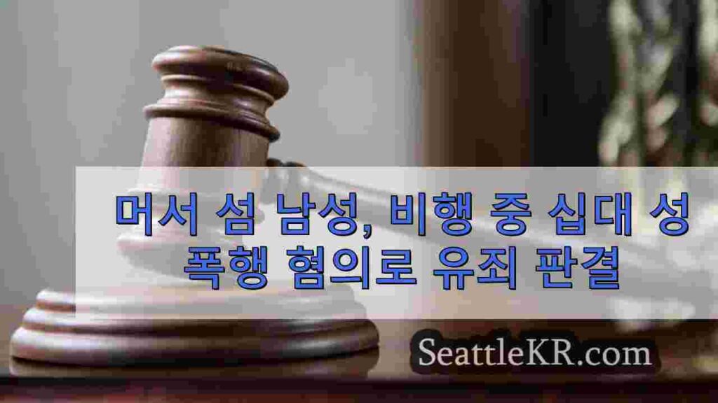 머서 섬 남성, 어머니가 근처에서 자고있는 동안 비행 중 십대 성폭행