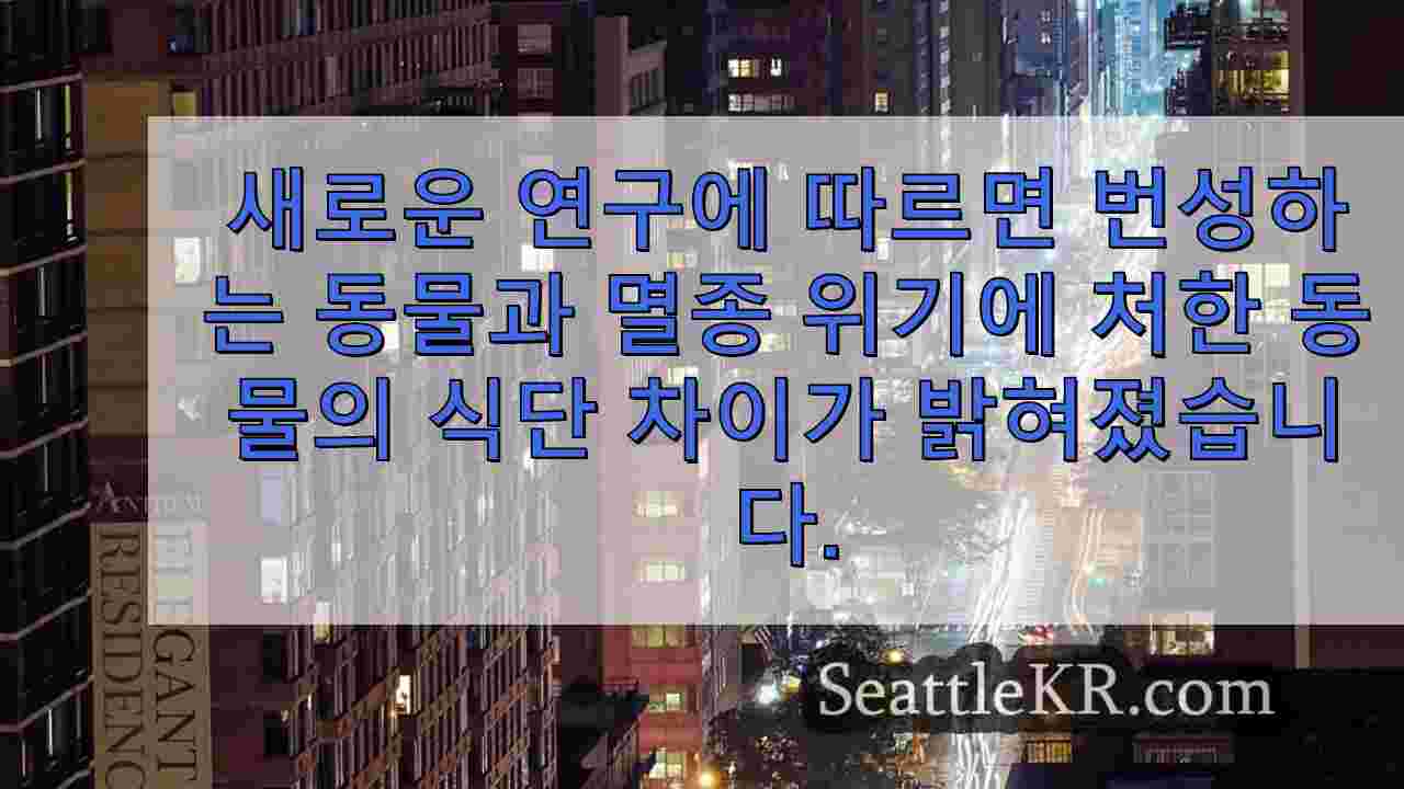시애틀 뉴스 SeattleKR