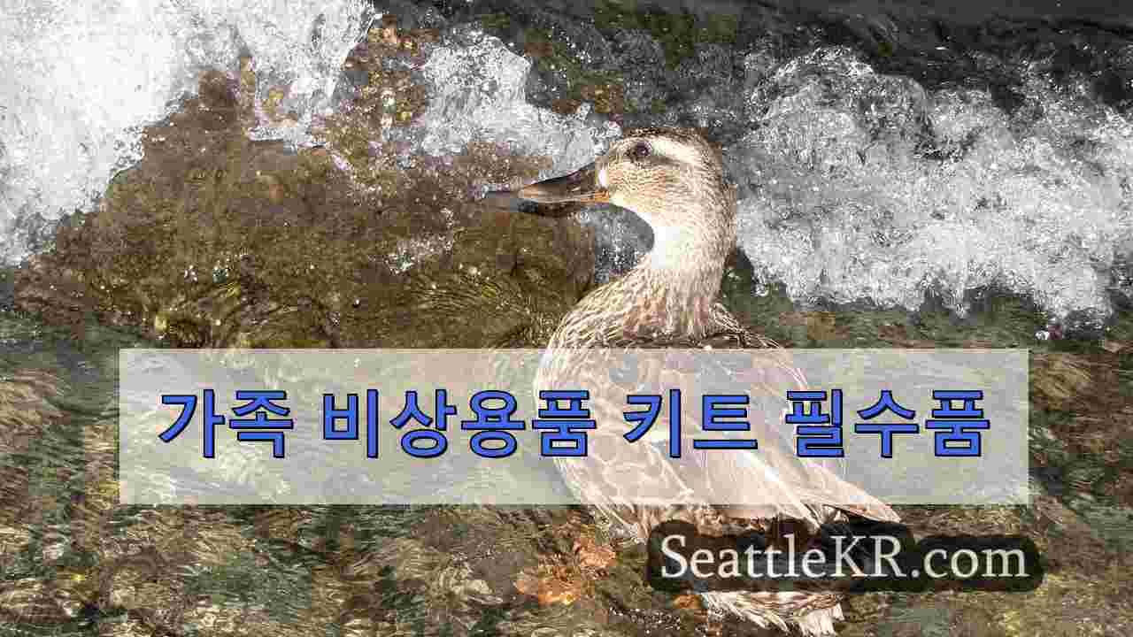 시애틀 뉴스 SeattleKR