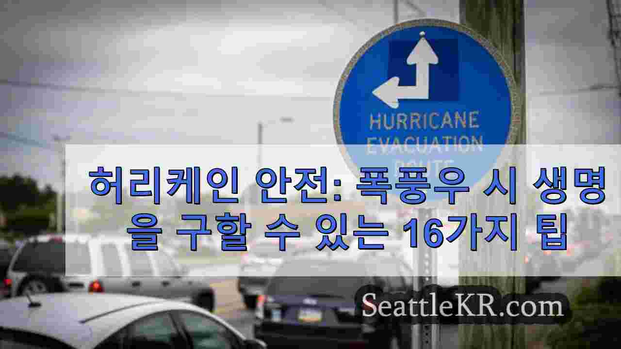 허리케인 안전 폭풍우 시 생명을 구할 수 있는 16가지 팁