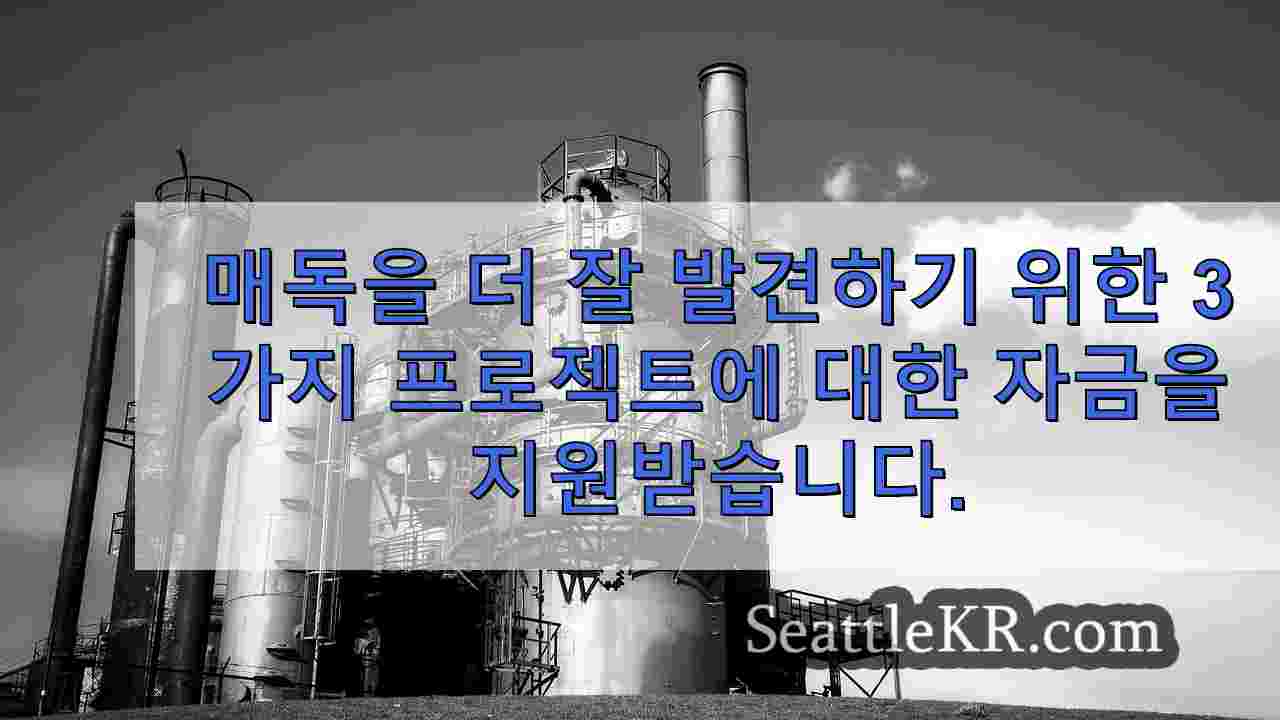 시애틀 뉴스 SeattleKR