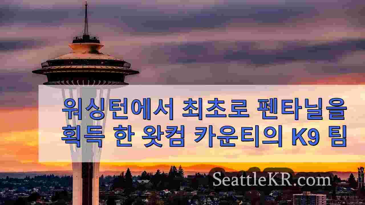 시애틀 뉴스 SeattleKR