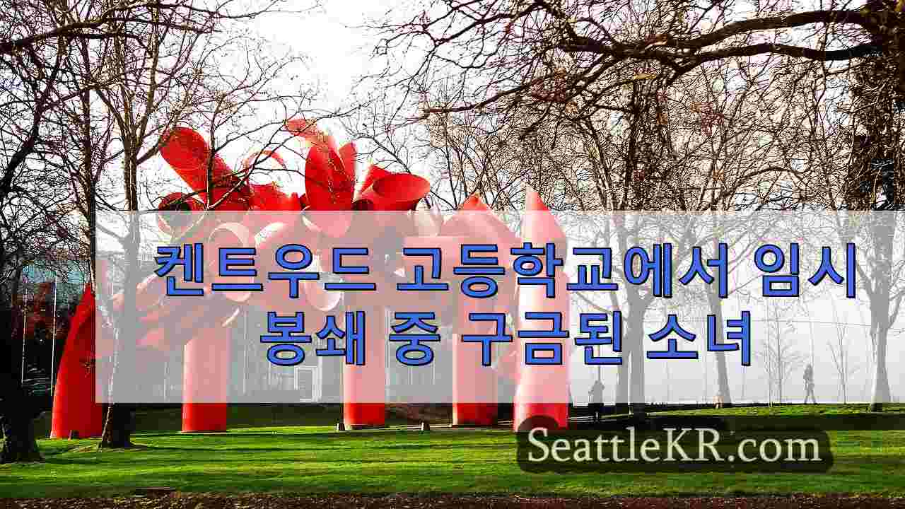 시애틀 뉴스 SeattleKR